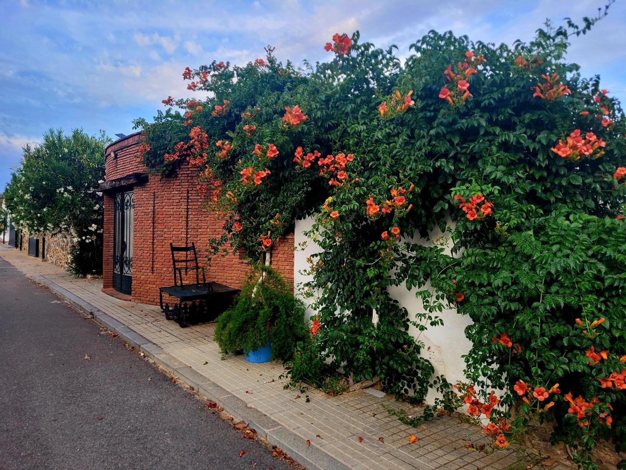 Complejo Rural El Soldado Villa Villanueva del Duque Exterior photo